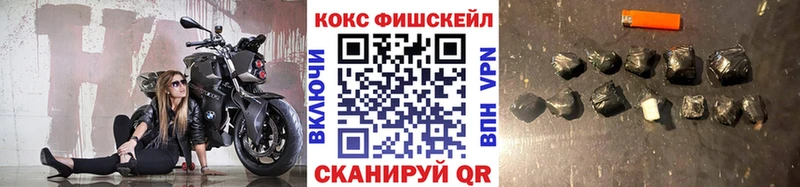 гидра онион Новосибирск Cocaine Fish Scale