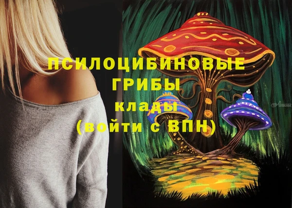 mdpv Ступино