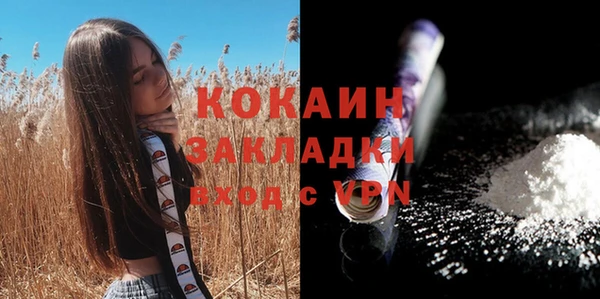 индика Струнино