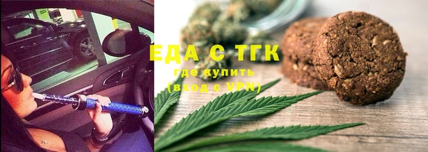 индика Струнино