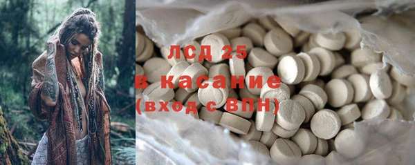 индика Струнино