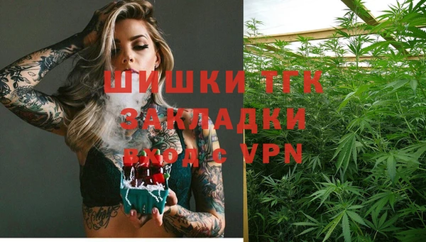 ГАЛЛЮЦИНОГЕННЫЕ ГРИБЫ Сясьстрой