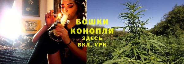 индика Струнино