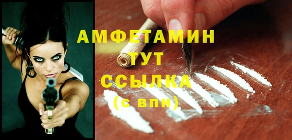 индика Струнино