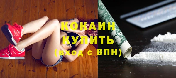 ГАЛЛЮЦИНОГЕННЫЕ ГРИБЫ Сясьстрой