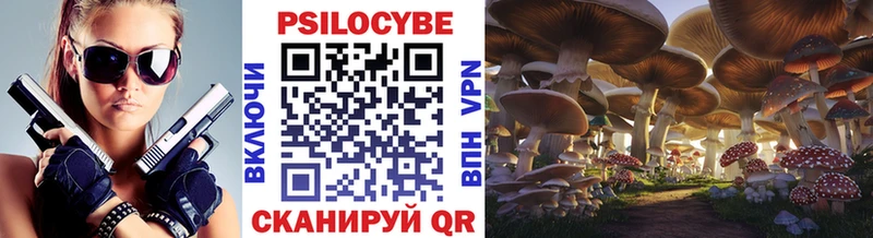 где можно купить   Новосибирск  Галлюциногенные грибы мухоморы 