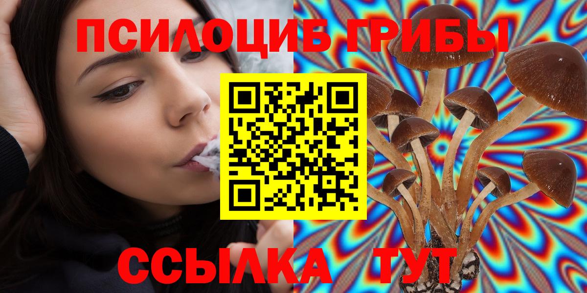 где купить наркоту  Галлюциногенные грибы Magic Shrooms  Вход с VPN  Новосибирск 