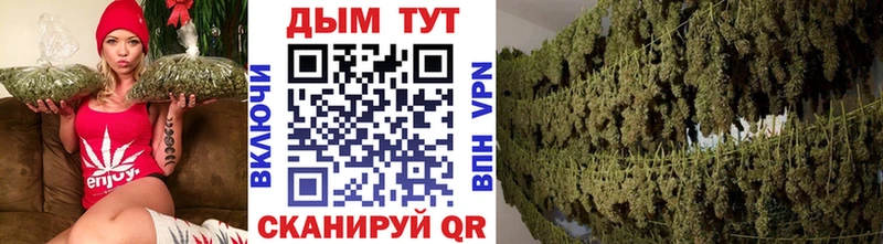 МАРИХУАНА MAZAR  блэк спрут сайт  Новосибирск 